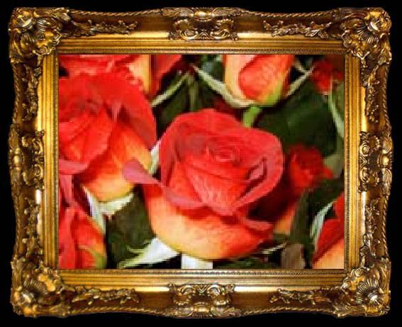 framed  unknow artist Realistic Red Roses, ta009-2
